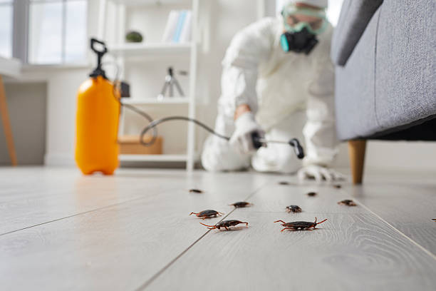 Commercial Kitchen Cockroach Control in Oglethorpe